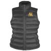 Women's ice bird padded gilet Thumbnail